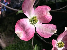 Photo detail