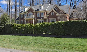 Photo detail