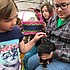 photo thumbnail