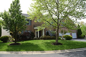 Photo detail