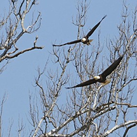 Photo detail