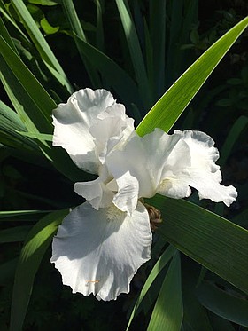 Photo detail