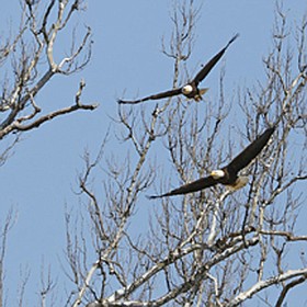 Photo detail