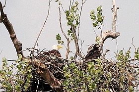 Photo detail