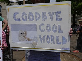 Photo detail