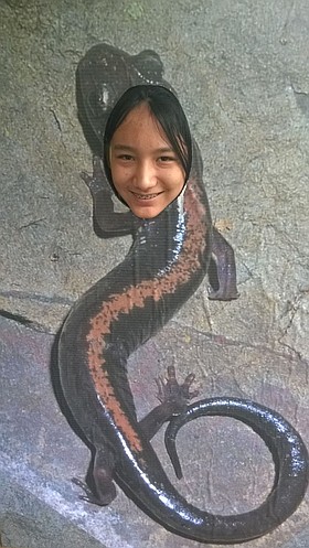 Photo detail