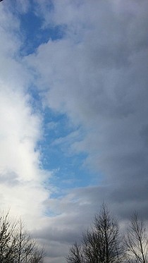 photo thumbnail