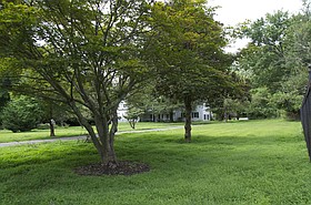 Photo detail