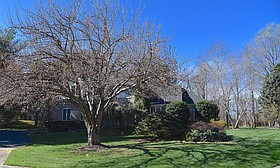 Photo detail