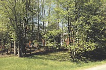 photo thumbnail