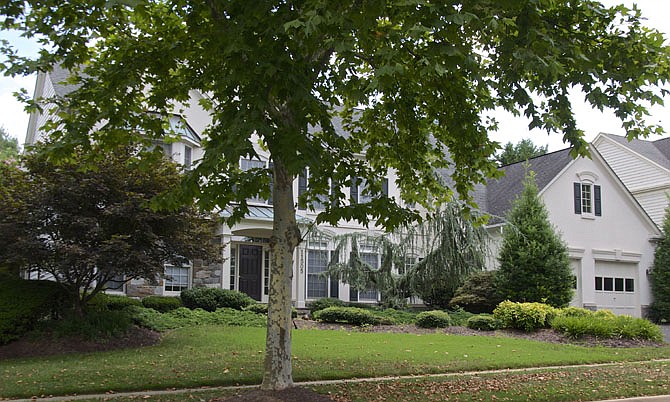 Photo detail