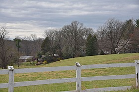 Photo detail