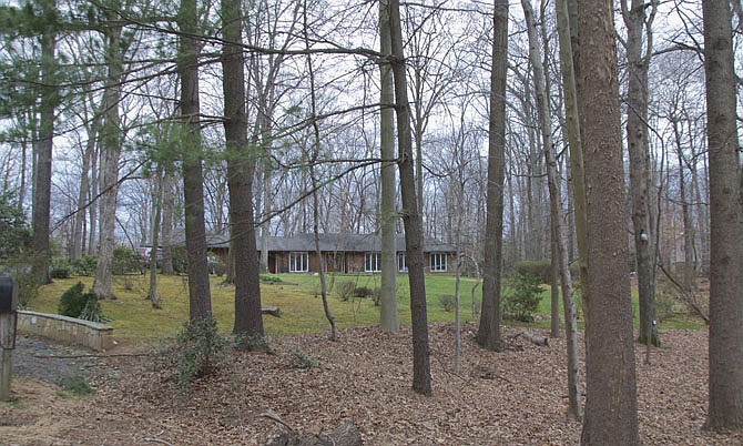 Photo detail