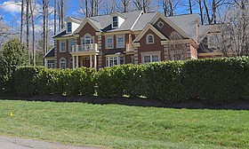 Photo detail