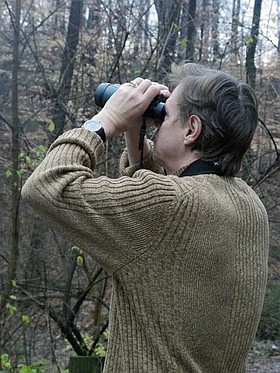 Photo detail