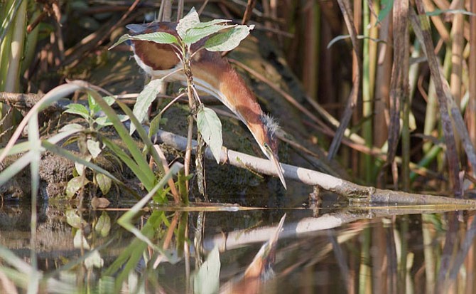 Photo detail