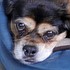 photo thumbnail