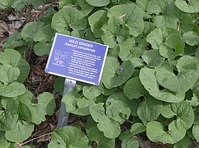 Photo detail