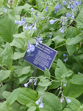 Photo detail
