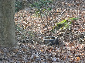 Photo detail
