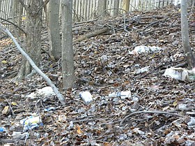 Photo detail