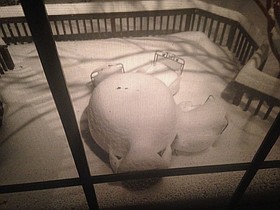 Photo detail
