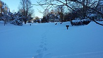 photo thumbnail