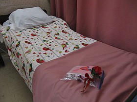 Photo detail