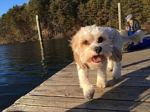 photo thumbnail