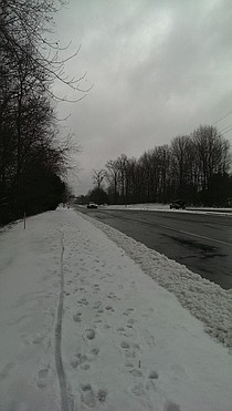 photo thumbnail