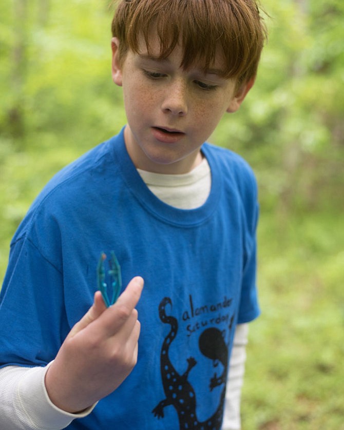 Photo detail
