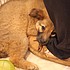 photo thumbnail