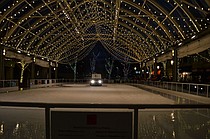 photo thumbnail