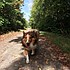 photo thumbnail