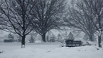 photo thumbnail