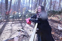 photo thumbnail