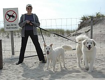 photo thumbnail