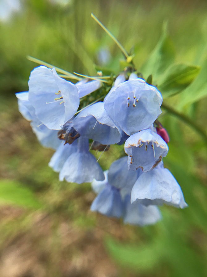 Photo detail