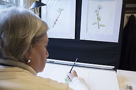 Photo detail