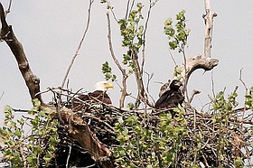 Photo detail