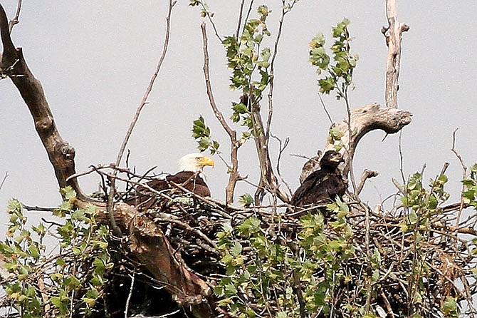 Photo detail