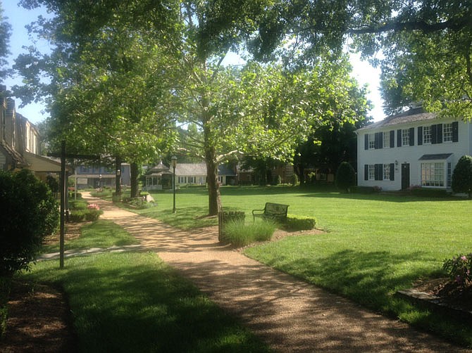 Photo detail