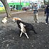 photo thumbnail
