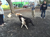 photo thumbnail
