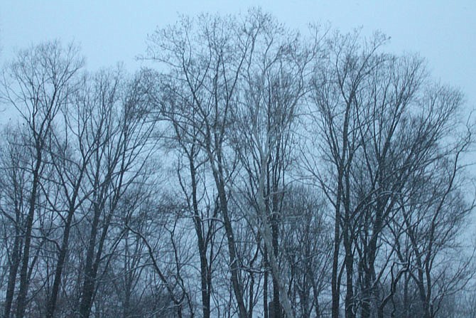 Photo detail