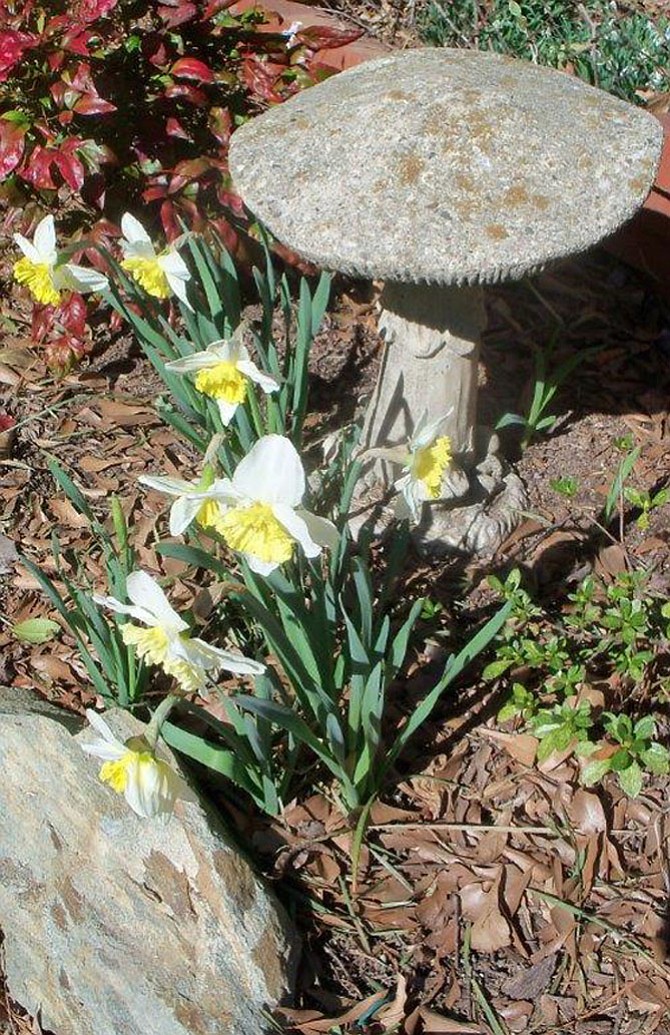 Photo detail