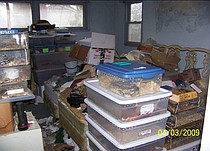 photo thumbnail