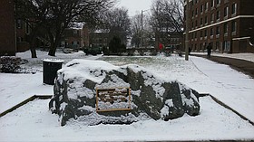 Photo detail