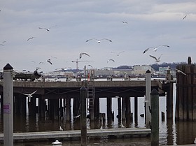 Photo detail