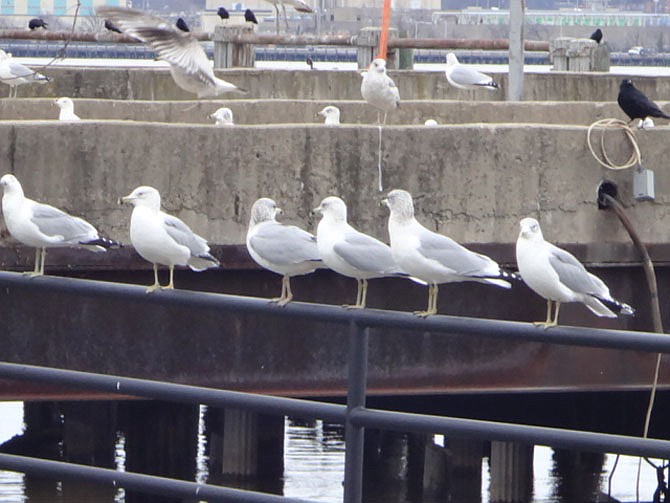 Photo detail